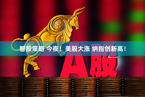 智股策略 今夜！美股大涨 纳指创新高！